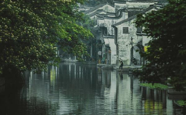 新糖果怪物